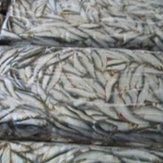 Свежемороженная продукция
